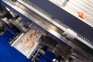 Blog Article - FDA Warning Letters Highlight Food Safety Compliance Issues