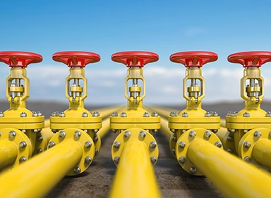 Fan turning-Training Management Software Solution Powered by AssurX QMS