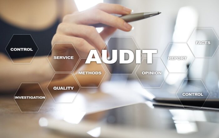 Audit Standards