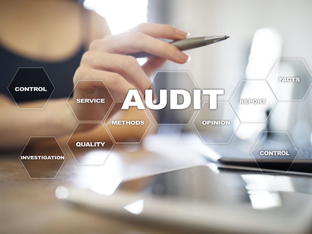 Audit Standards